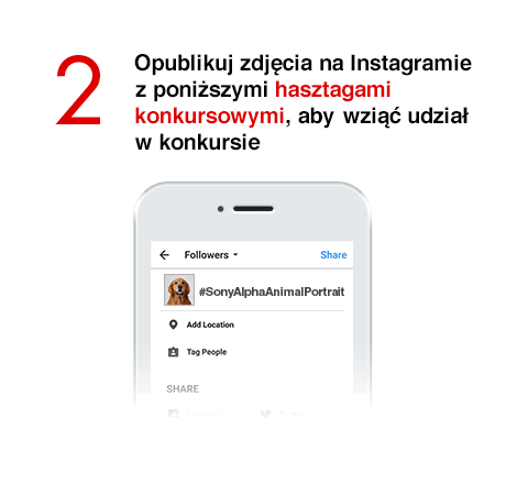 2) Opublikuj zdjęcia na Instagramie z poniższymi hasztagami konkursowymi, aby wziąć udział w konkursie