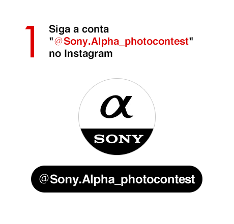 1) Siga a conta "@Sony.Alpha_photocontest" no Instagram