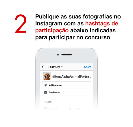 2) Publique as suas fotografias no Instagram com as hashtags de participação abaixo indicadas para participar no concurso