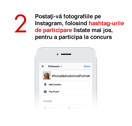 2) Postaţi-vă fotografiile pe Instagram, folosind hashtag-urile de participare listate mai jos, pentru a participa la concurs