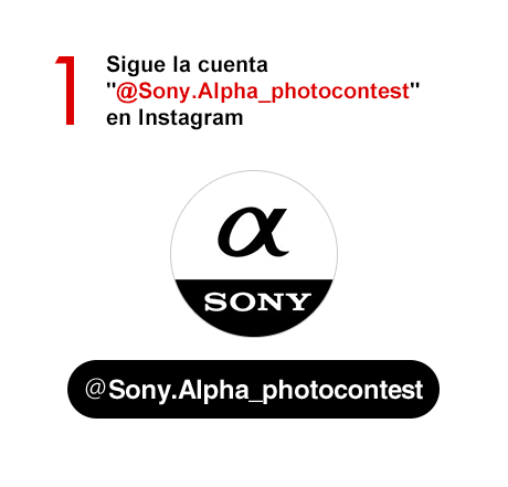 1)	Sigue la cuenta @Sony.Alpha_photocontest en Instagram