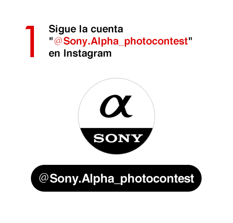 1) Sigue la cuenta "@Sony.Alpha_photocontest" en Instagram