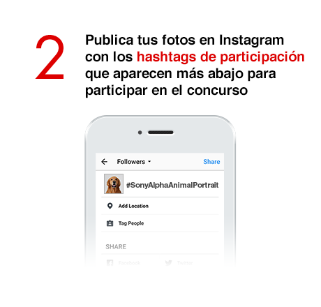 2) Publica tus fotos en Instagram con los hashtags de participación que aparecen más abajo para participar en el concurso