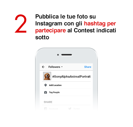 2) Pubblica le tue foto su Instagram con gli hashtag per partecipare al Contest indicati sotto