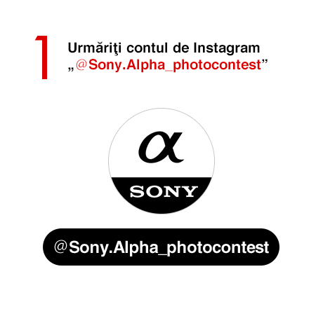 1) Urmăriţi contul de Instagram „@Sony.Alpha_photocontest”
