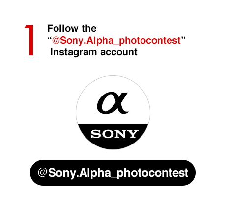 1) Follow the “@Sony.Alpha_photocontest” Instagram account
