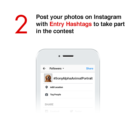 2) Post your photos on Instagram with Entry Hashtags to take part in the contest