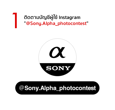 1) ติดตามบัญชีผู้ใช้ Instagram “@Sony.Alpha_photocontest”