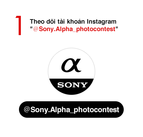 1) Theo dõi tài khoản Instagram “@Sony.Alpha_photocontest”