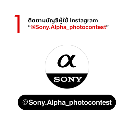 Step 1 Follow the @Sony.Alpha_photocontest Instagram account